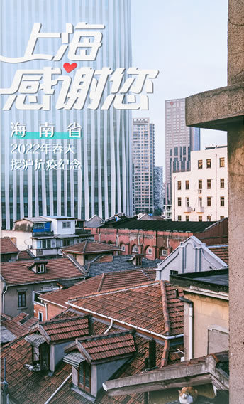 上海3mm柱状干冰-厂家直销-中国干冰一级供应商